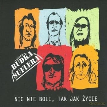 Budka Suflera: Nic Nie Boli Tak Jak Życie