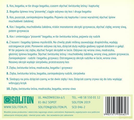 Ptasi Poranek w Lesie