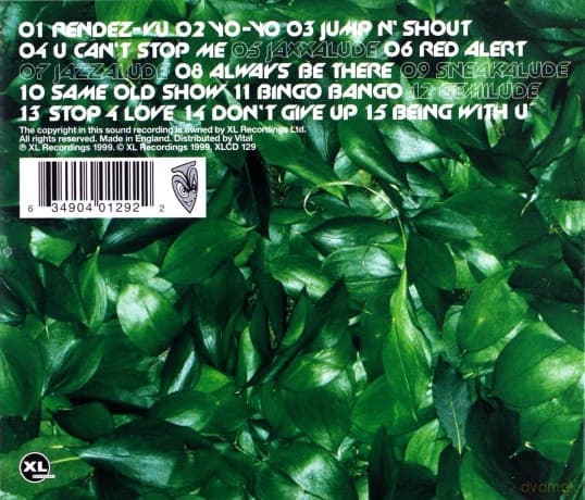 Basement Jaxx: Remedy