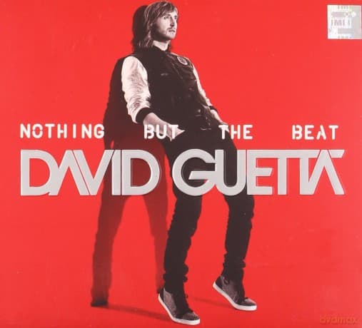 David Guetta: Nothing But The Beat